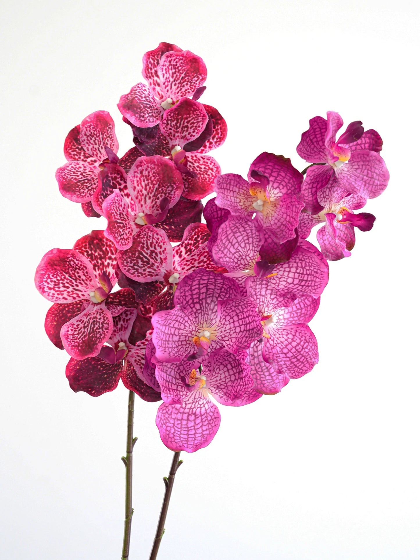 Real Touch Artificial Vanda Orchid Flowers