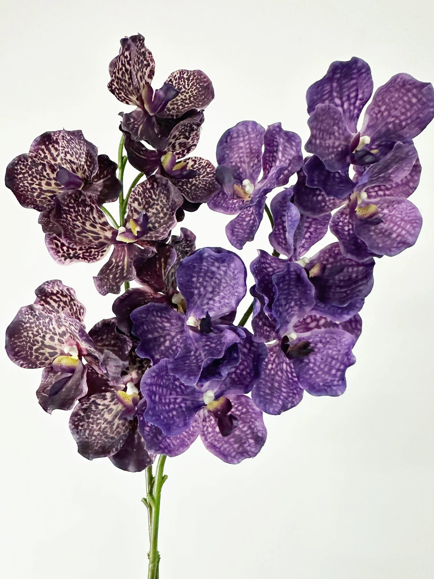 Real Touch Artificial Vanda Orchid Flowers