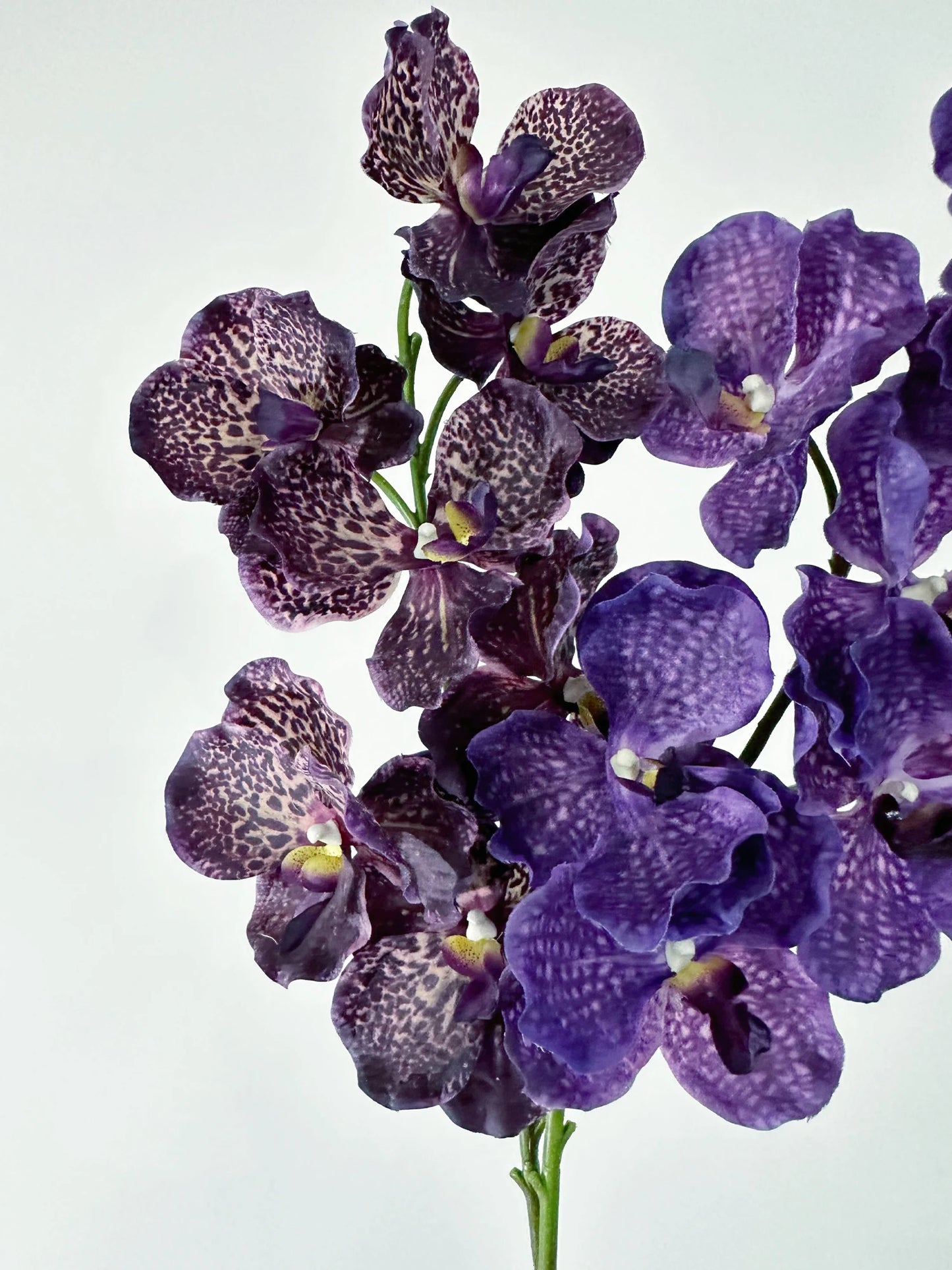 Real Touch Artificial Vanda Orchid Flowers