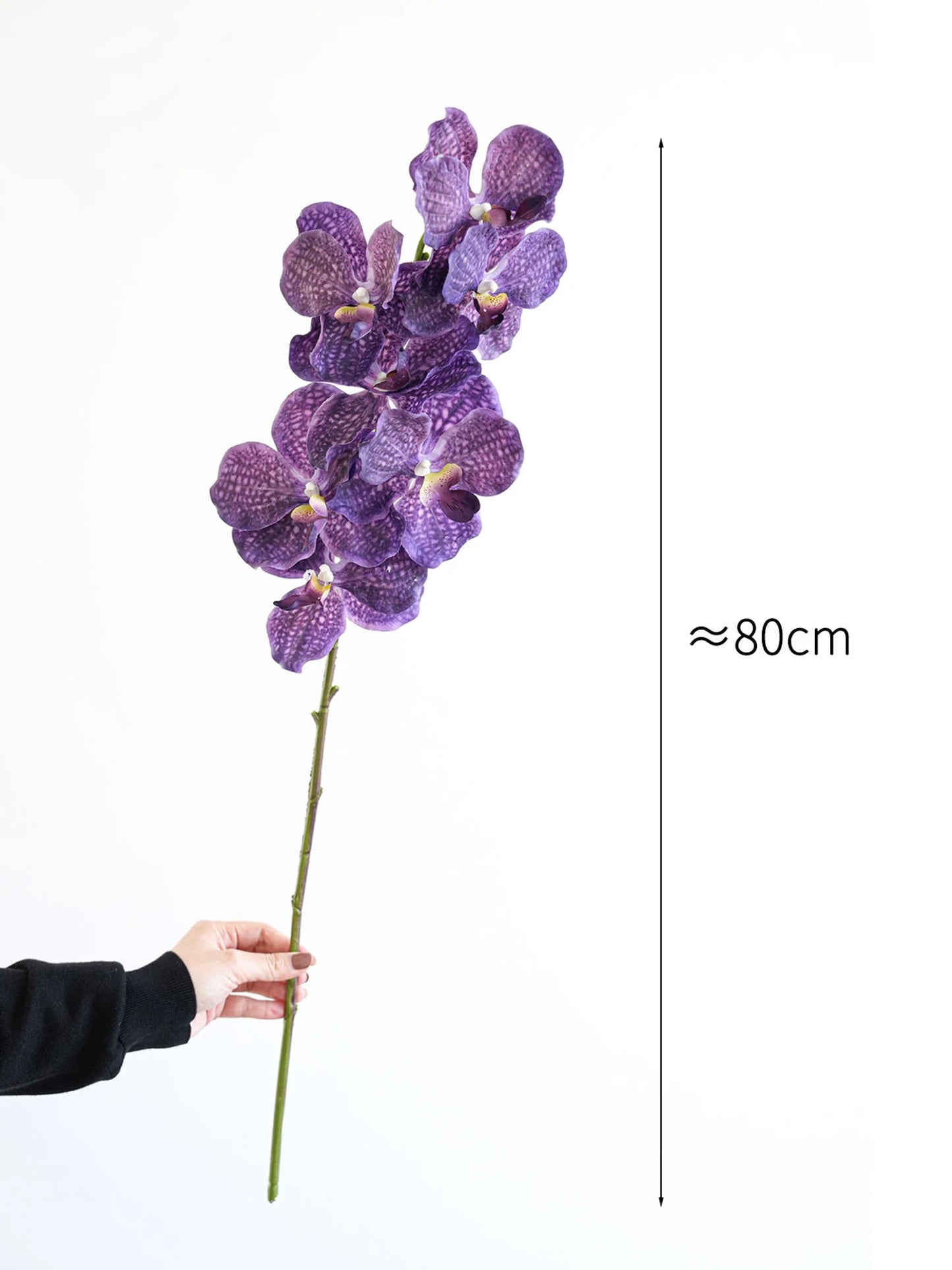 Real Touch Artificial Vanda Orchid Flowers