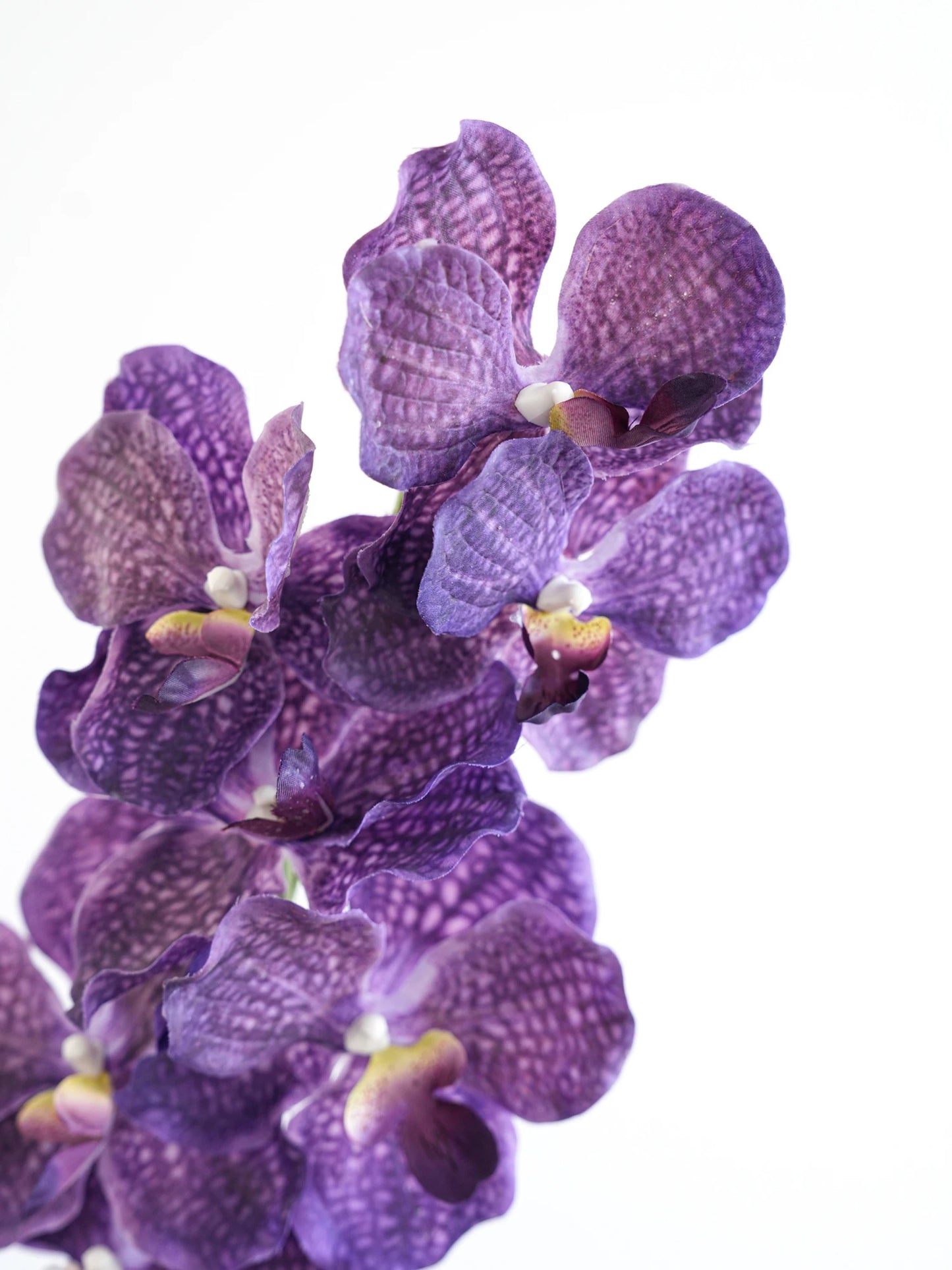 Real Touch Artificial Vanda Orchid Flowers