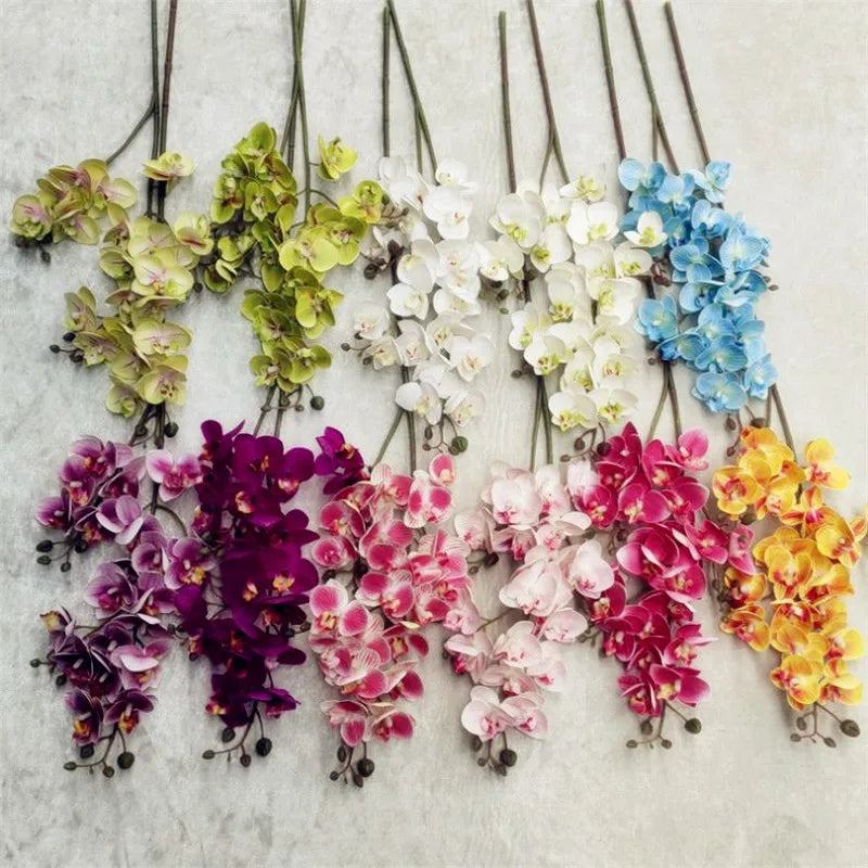 Beautiful Latex Butterfly Orchid