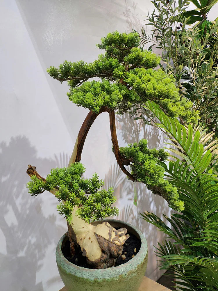 Vibrant Simulation Bonsai Pine Branch