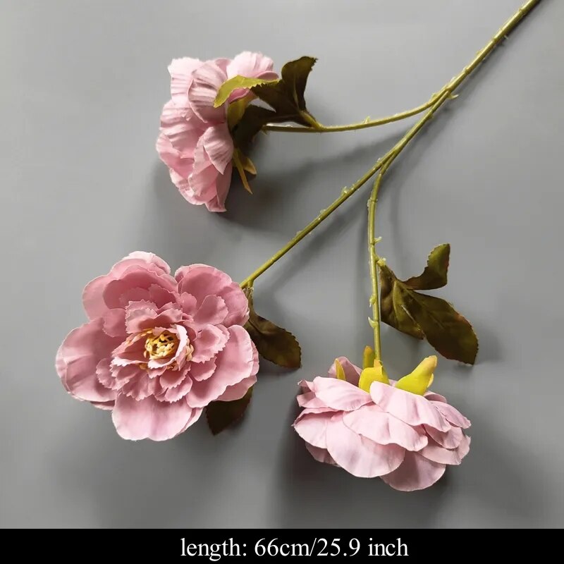 46781325377821