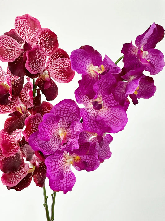 Real Touch Artificial Vanda Orchid Flowers