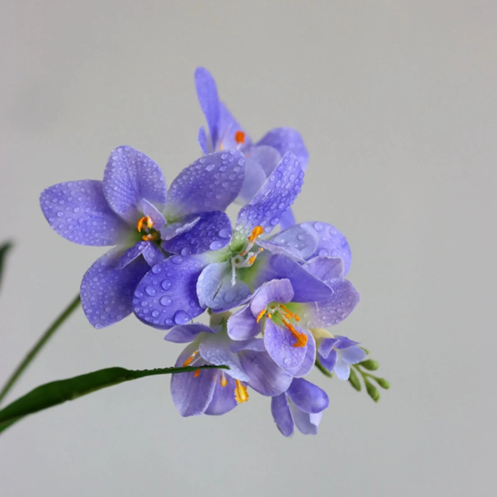 3D Artificial Butterfly Orchid