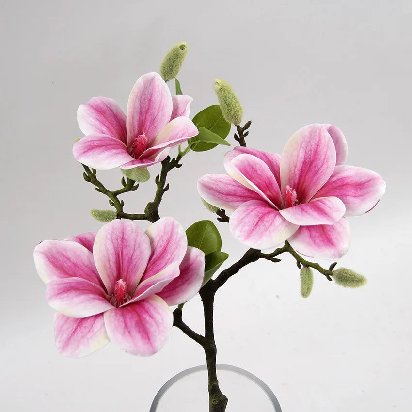 Luxurious Magnolia Flower Branch