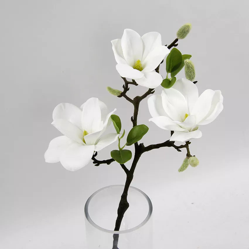 Luxurious Magnolia Flower Branch