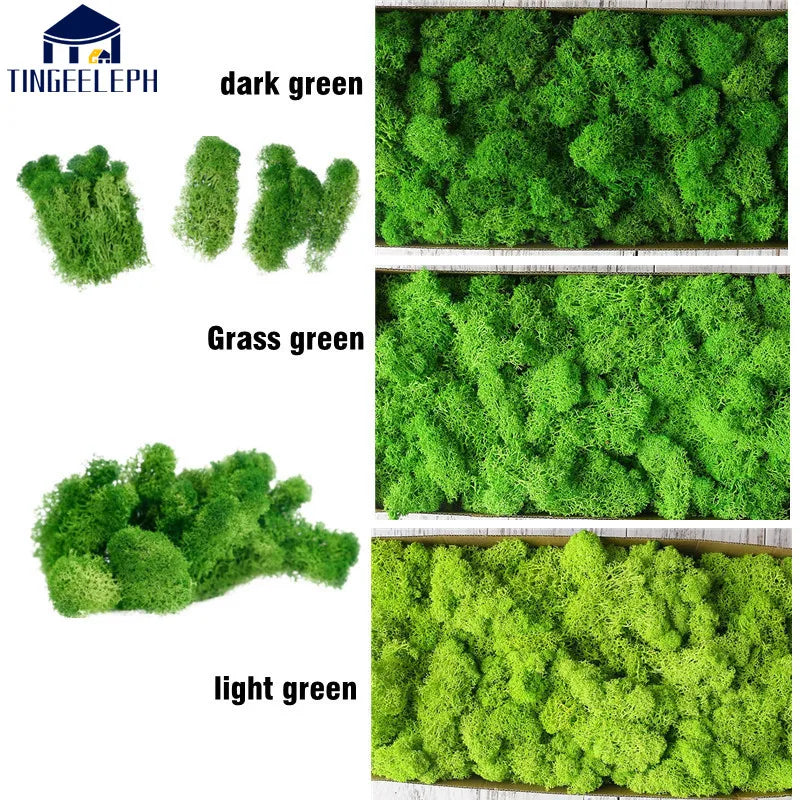 200g/box Artificial Moss