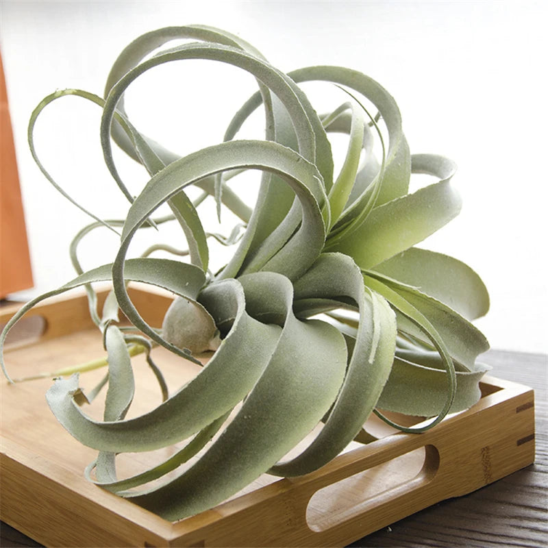 Large Artificial Air Grass Succulents