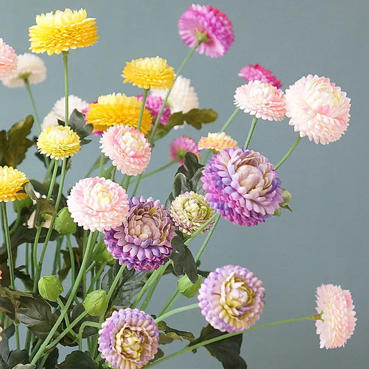 Beautiful Spring Chrysanthemum Daisy Flower Branch