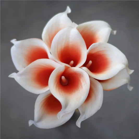 10pcs Calla Lilies Flowers For Wedding Bouquets