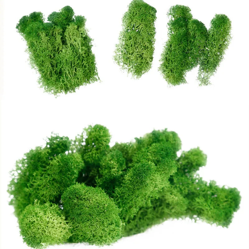 200g/box Artificial Moss