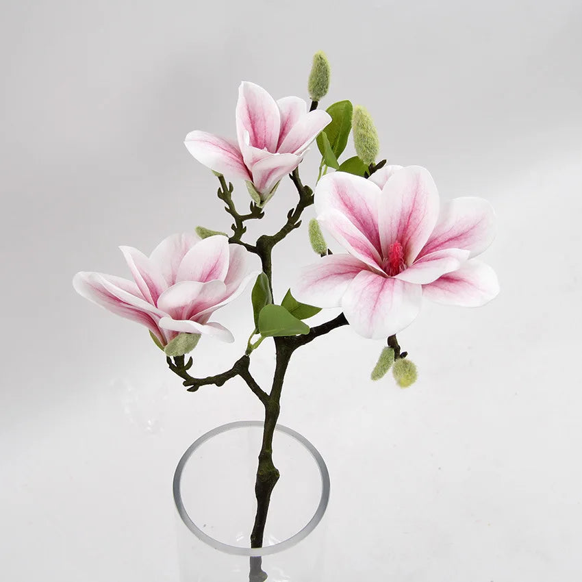 Luxurious Magnolia Flower Branch