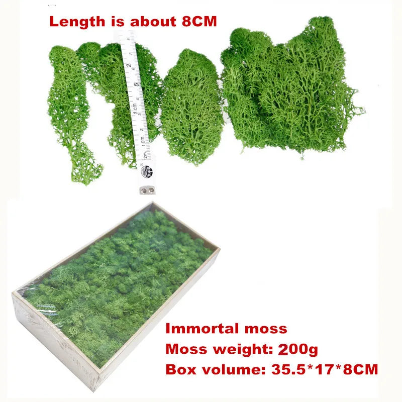 200g/box Artificial Moss