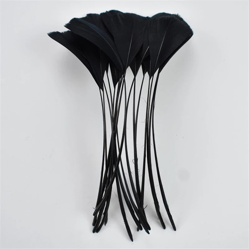 20Pcs/Pcs Black Feathers