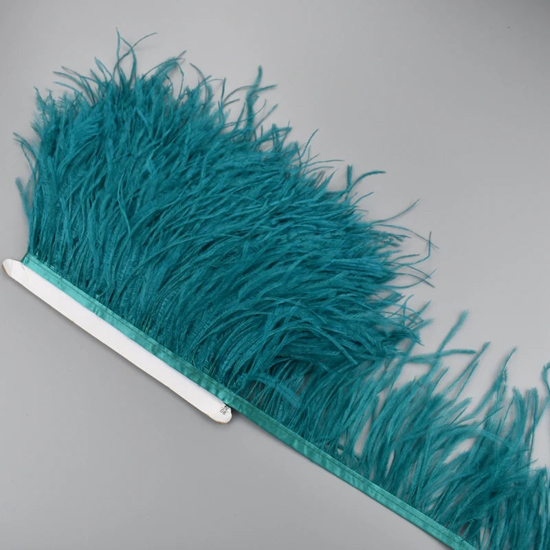 Ostrich Feathers on a Ribbon