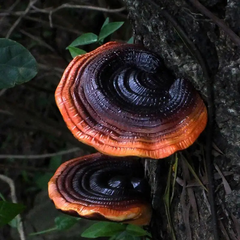 5pcs Resin Tree Hugger Ganoderma Mushroom Figurines