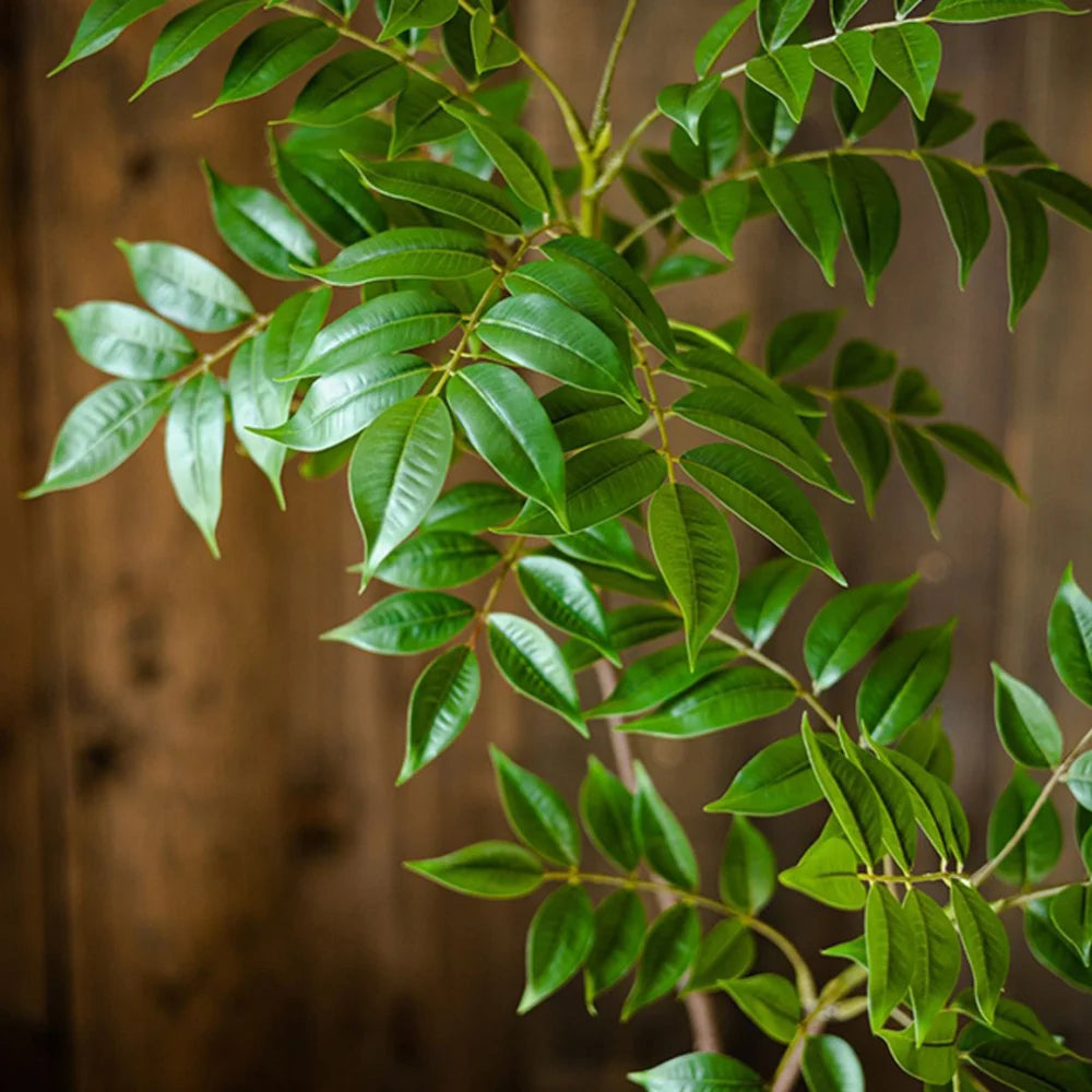 Large Artificial Ficus Tree Branch