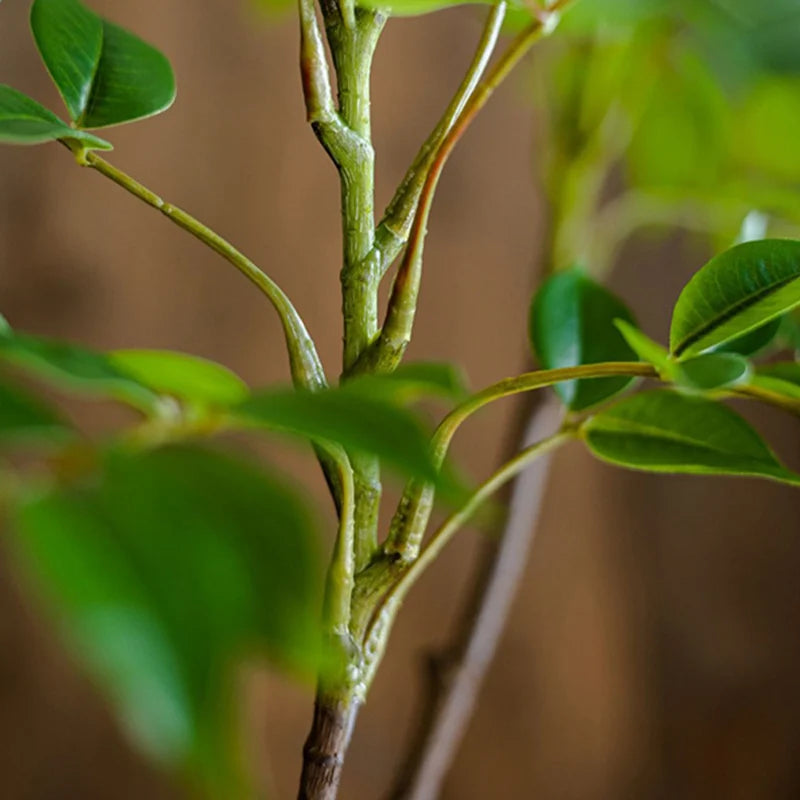 Large Artificial Ficus Tree Branch