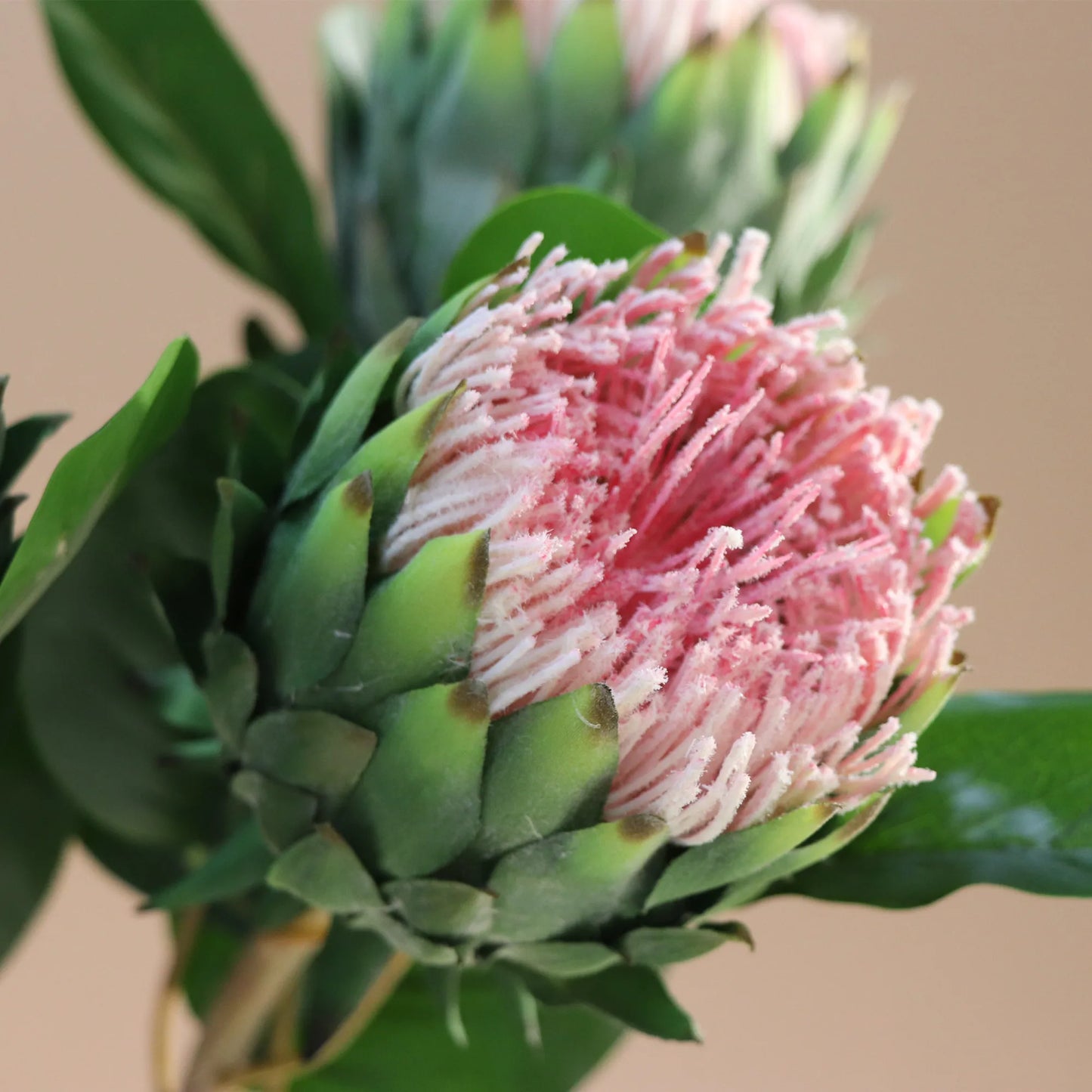 Artificial Pink Protea Cynaroides Flower