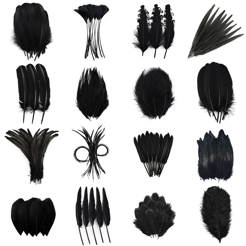 20Pcs/Pcs Black Feathers