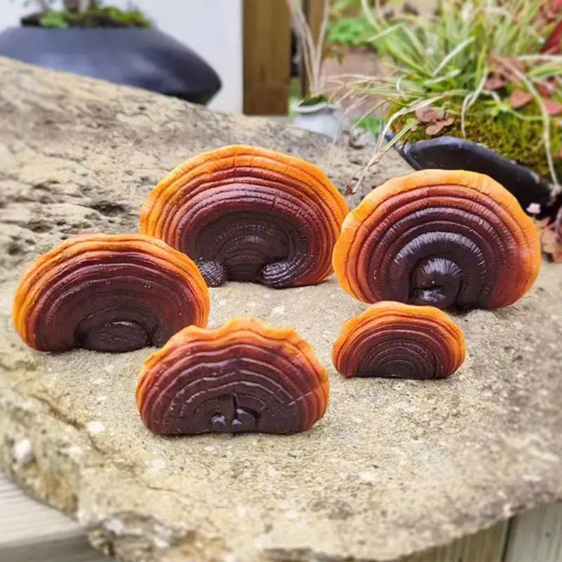 5pcs Resin Tree Hugger Ganoderma Mushroom Figurines