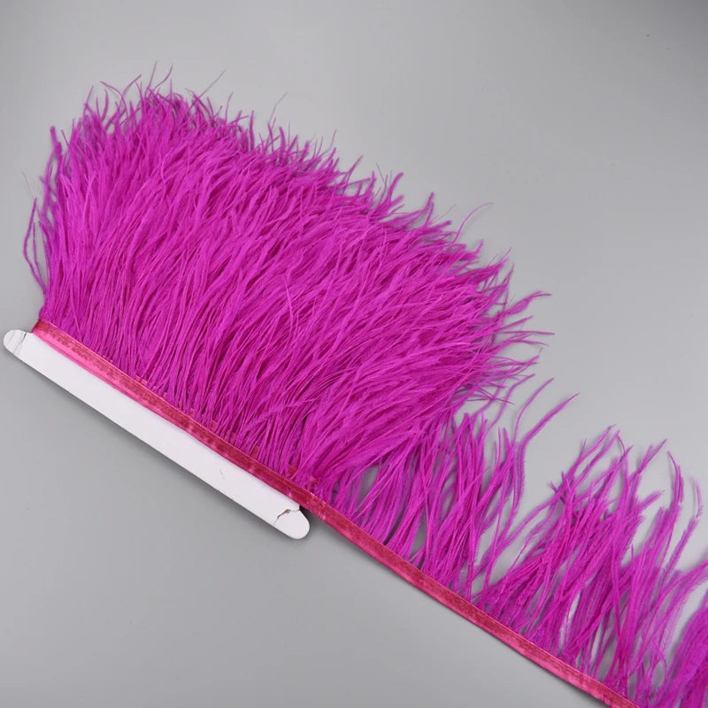 Ostrich Feathers on a Ribbon