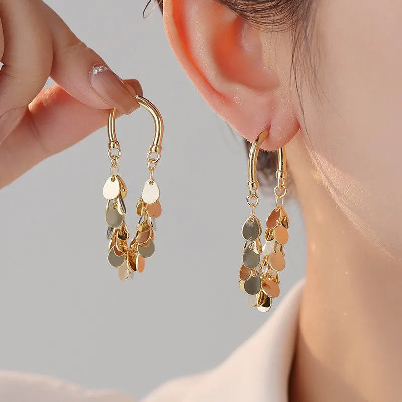 Luxury Delicate Tassel Drop Earrings