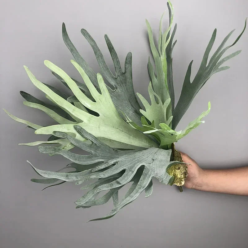 Large Artificial Antler Ferns