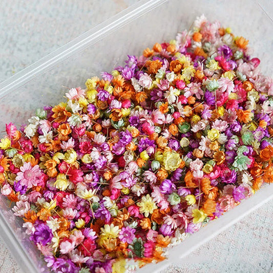 100/200pcs Cute Resin Artificial Flowers