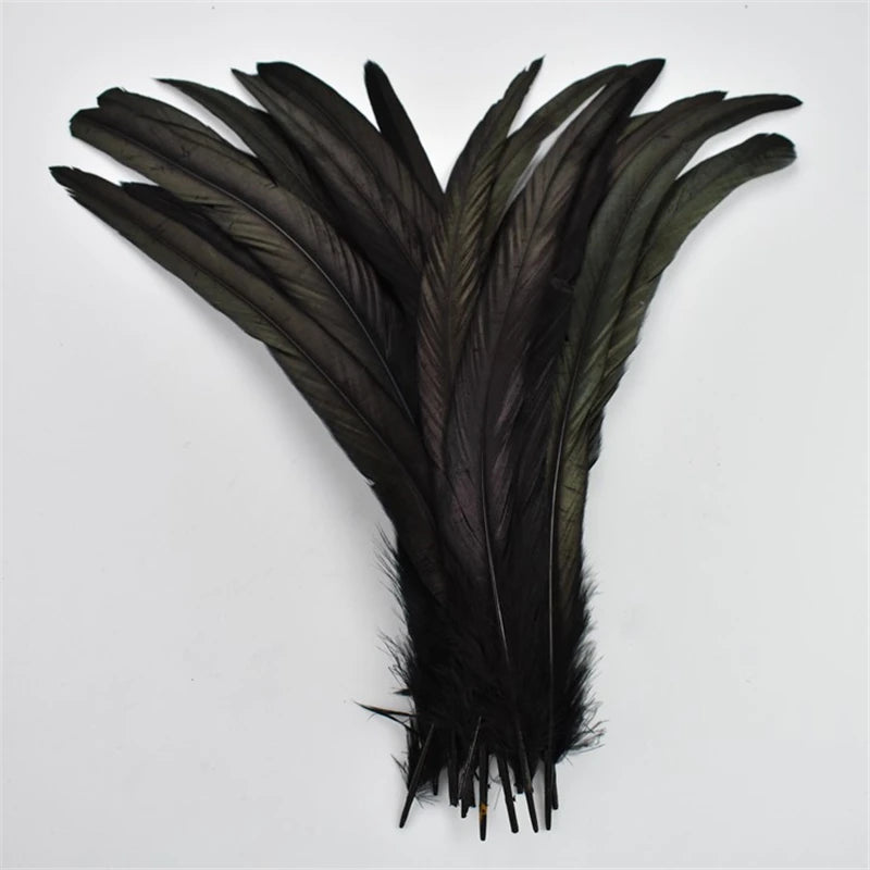 20Pcs/Pcs Black Feathers