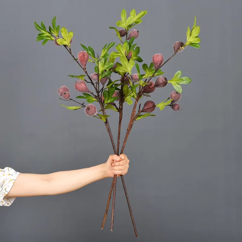 Delicious Frost Fig Branches