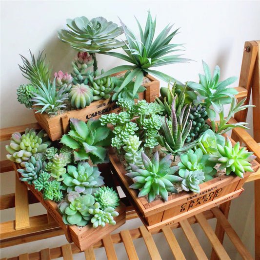 Artificial Green Succulents