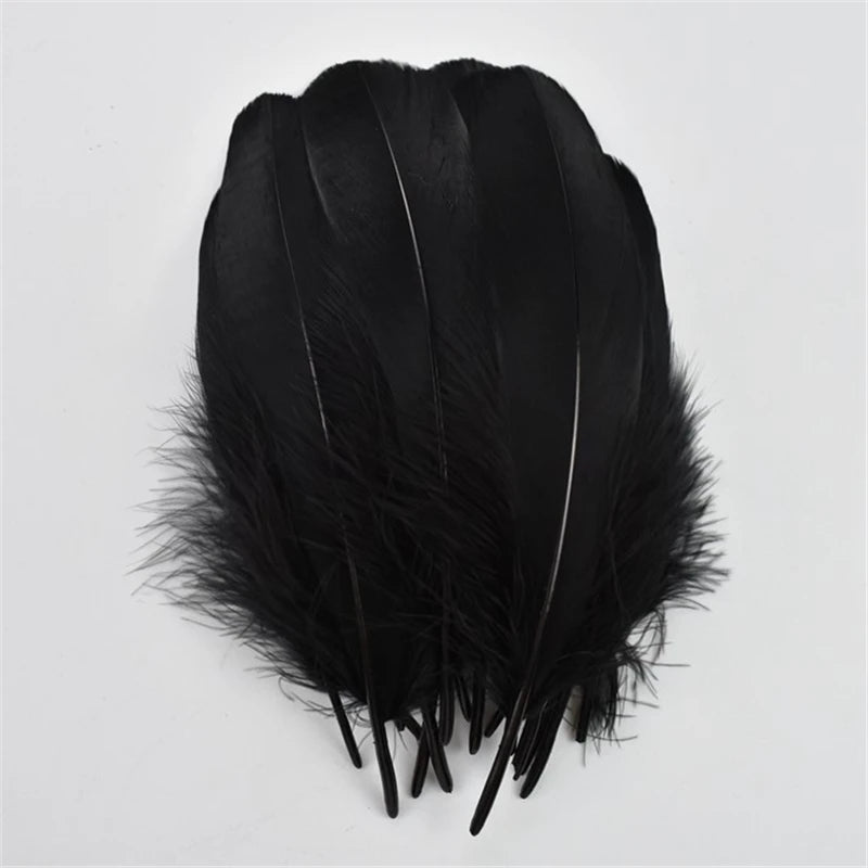 20Pcs/Pcs Black Feathers