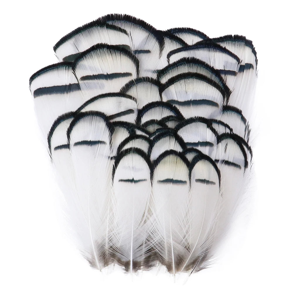 Wholesale Natural Feathers