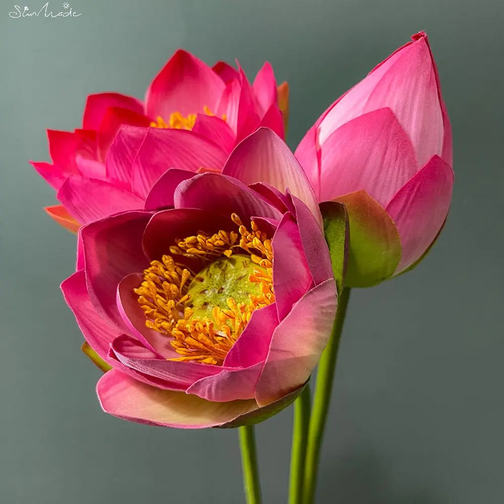 High Quality Silk Lotus Flower