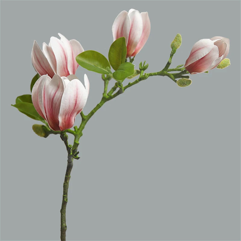 Fresh Artificial Magnolia Bud Branch