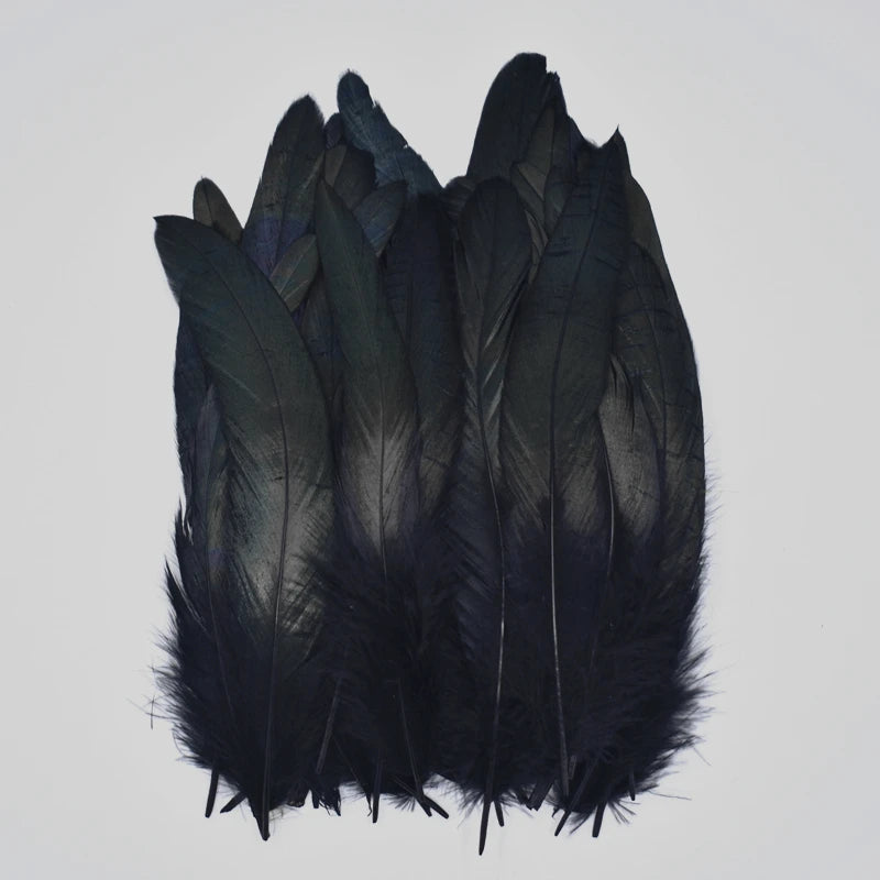 20Pcs/Pcs Black Feathers