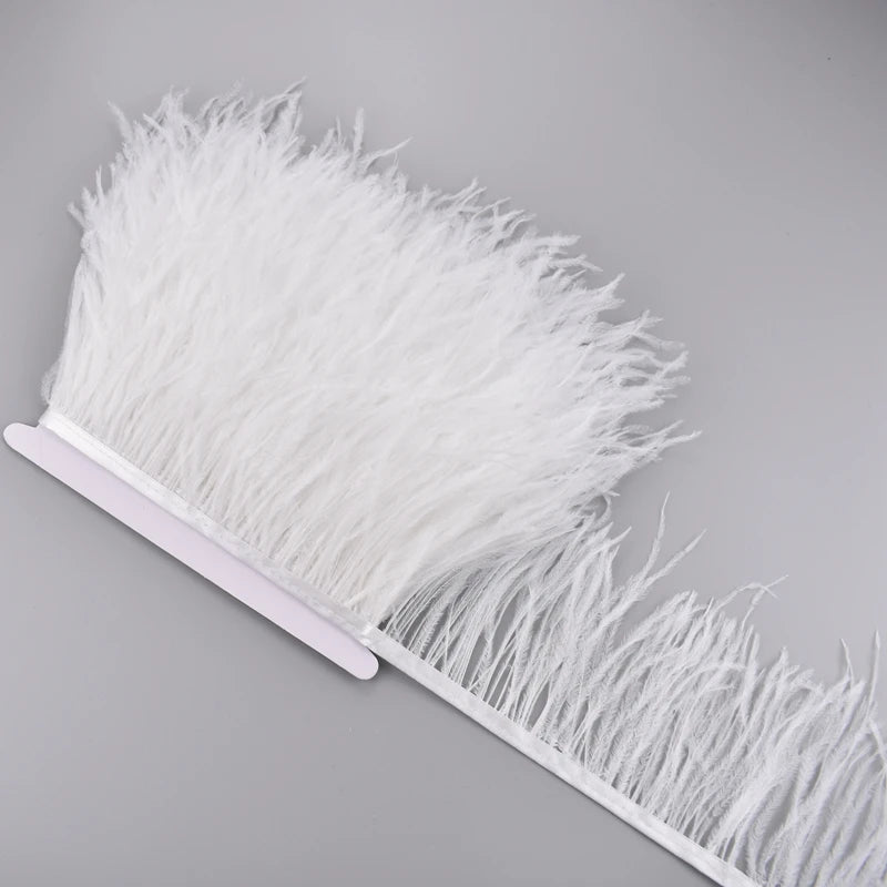 Ostrich Feathers on a Ribbon