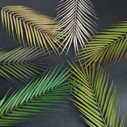 Artificial Palm Leaf